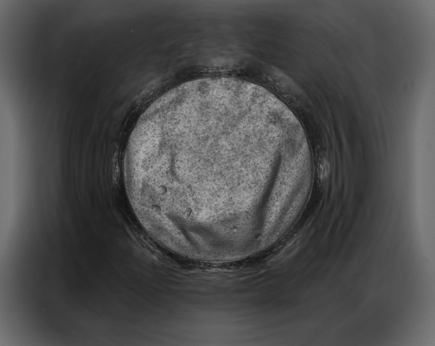 X0000086981204200705071410