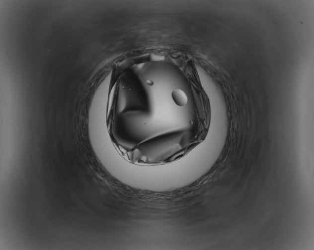 X0000086981206200705071410