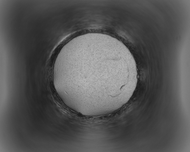 X0000086981208200705071410