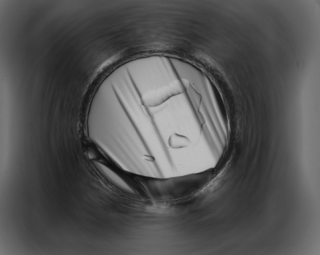 X0000086981210200705071410