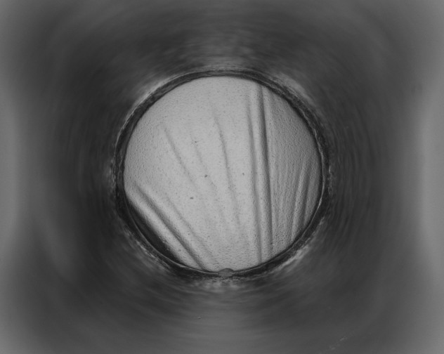 X0000086981212200705071410