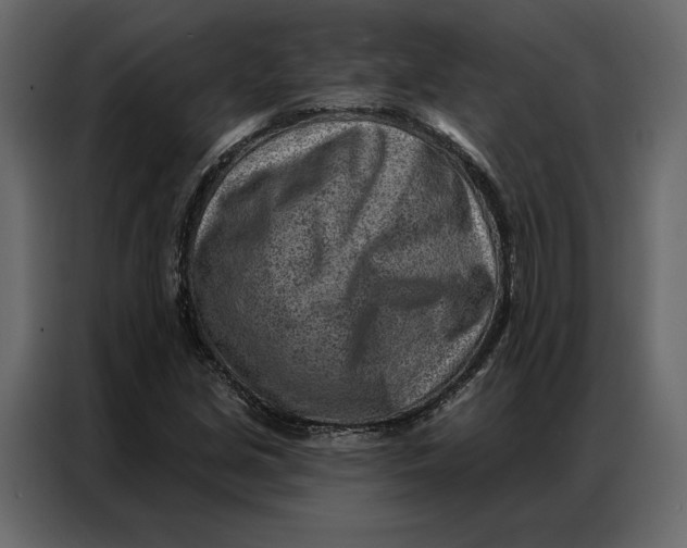 X0000086981213200705071410