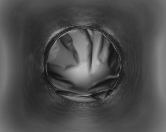 X0000086981214200705071410