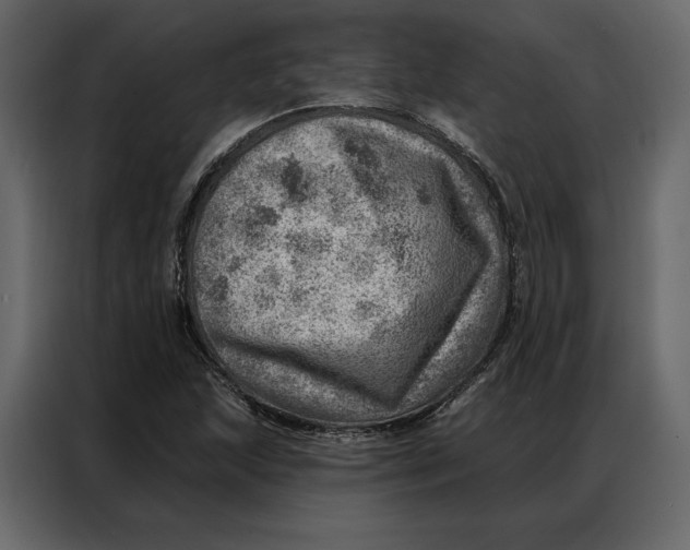 X0000086981215200705071410