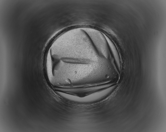 X0000086981216200705071410