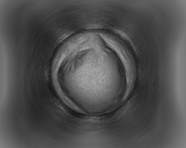 X0000086981217200705071410