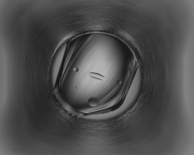 X0000086981218200705071410