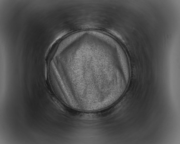 X0000086981219200705071410