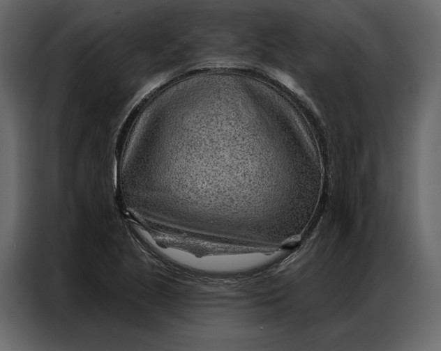 X0000086981221200705071410