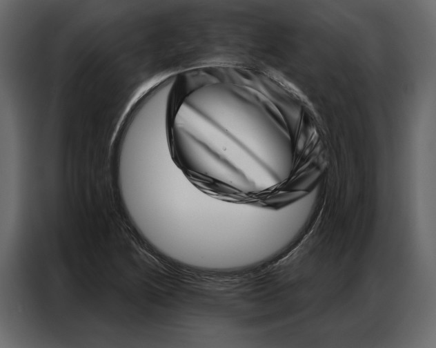 X0000086981222200705071410