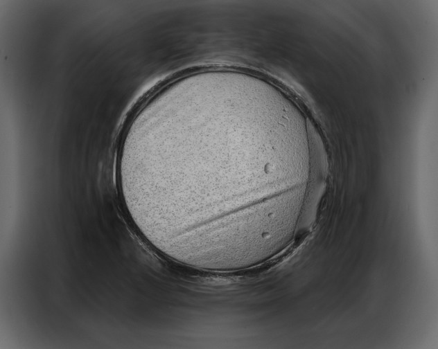 X0000086981224200705071410