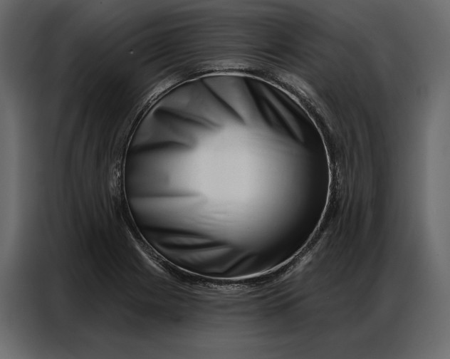 X0000086981225200705071410