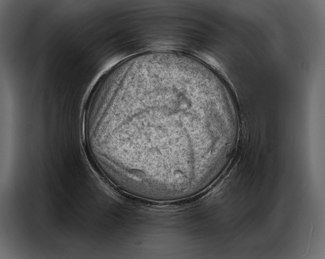 X0000086981227200705071410