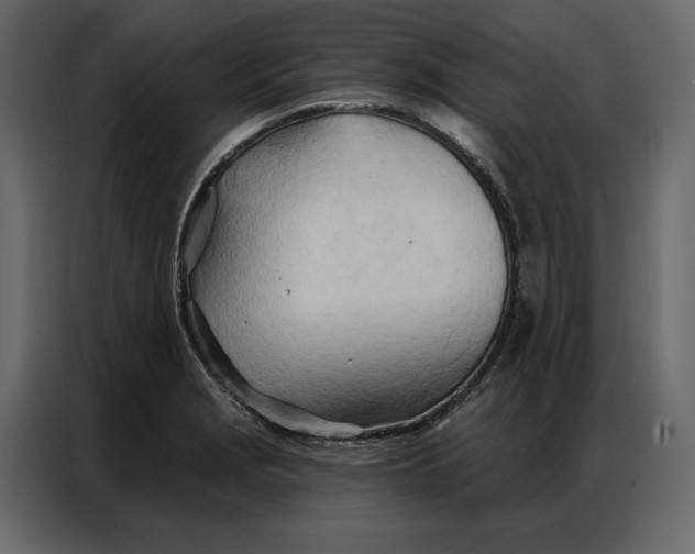 X0000086981229200705071410