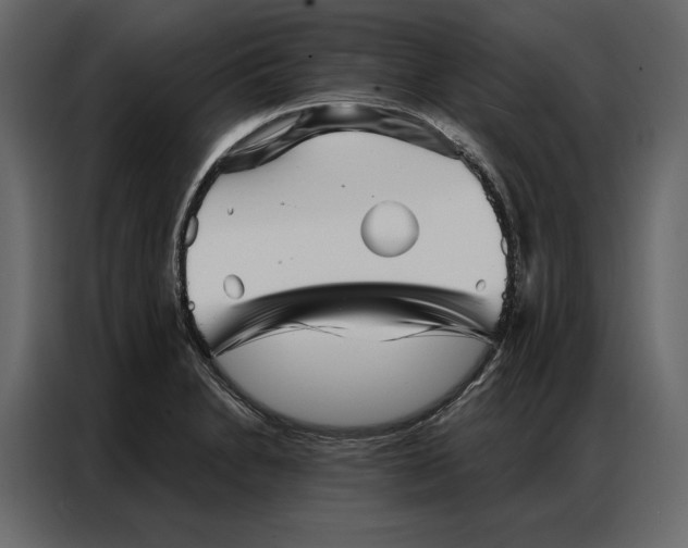 X0000086981230200705071410