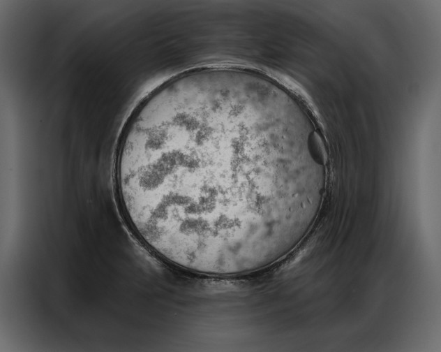 X0000086981231200705071410