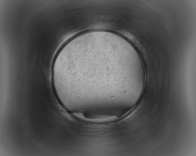 X0000086981232200705071410