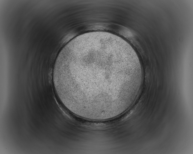 X0000086981233200705071410