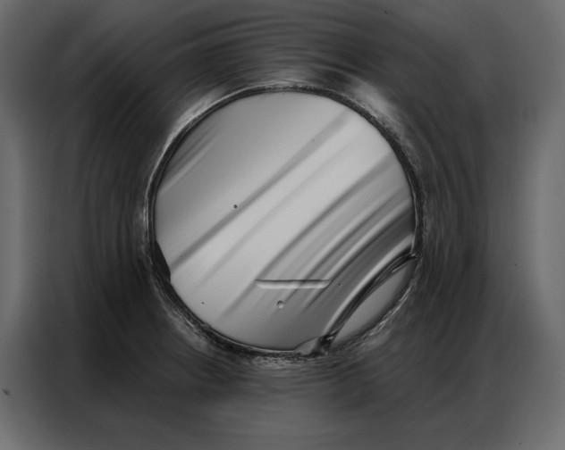 X0000086981234200705071410