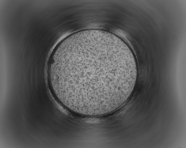 X0000086981235200705071410