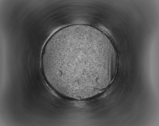 X0000086981236200705071410