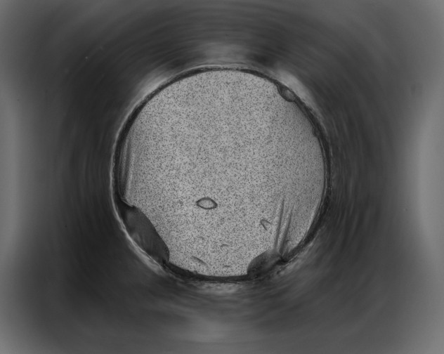 X0000086981237200705071410