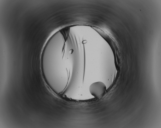 X0000086981238200705071410