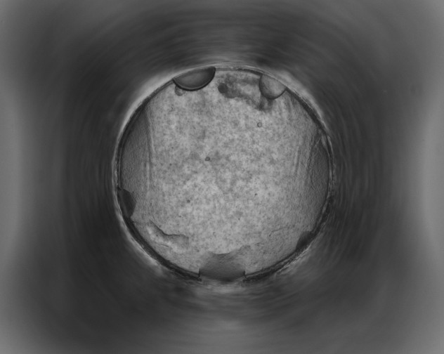 X0000086981239200705071410