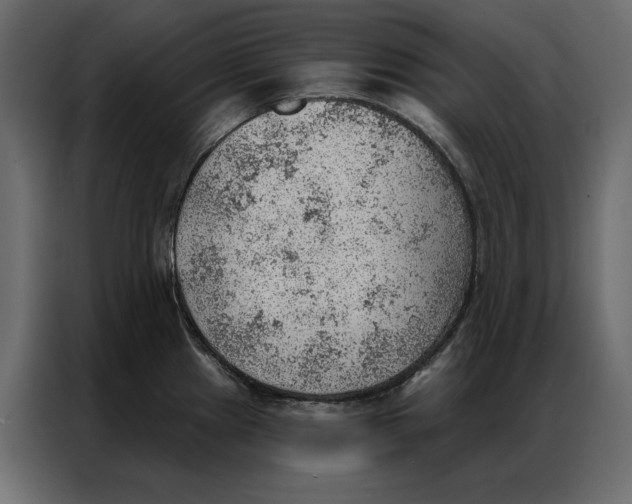 X0000086981241200705071410