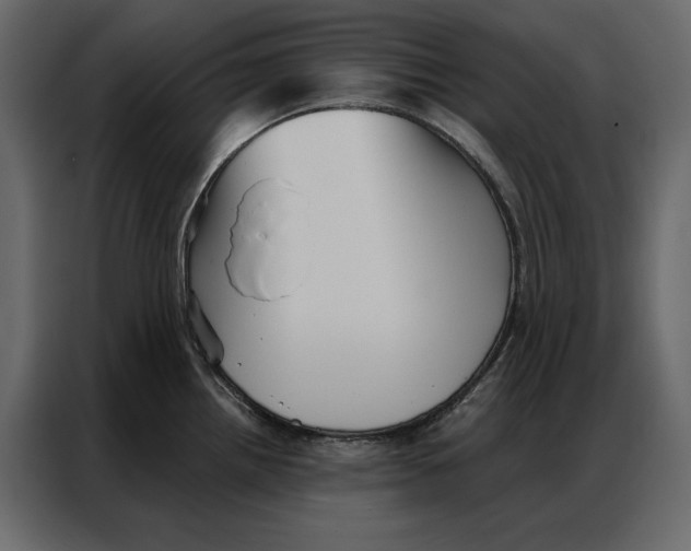 X0000086981242200705071410