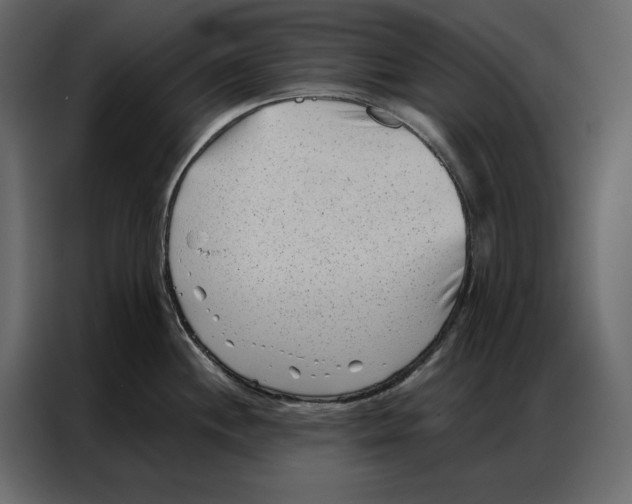 X0000086981244200705071410