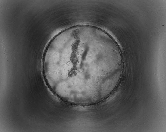 X0000086981245200705071410