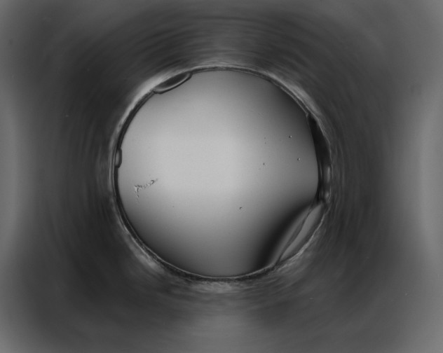 X0000086981246200705071410