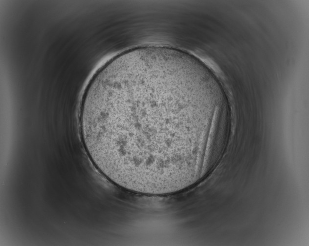 X0000086981248200705071410