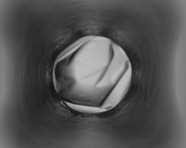 X0000086981250200705071410