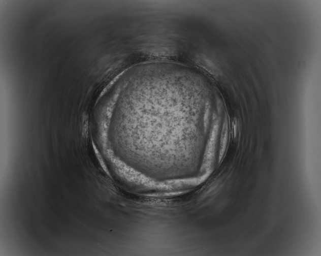 X0000086981251200705071410