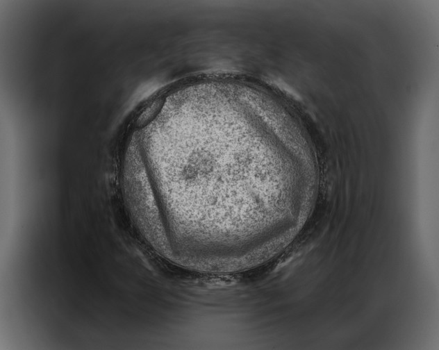 X0000086981255200705071410