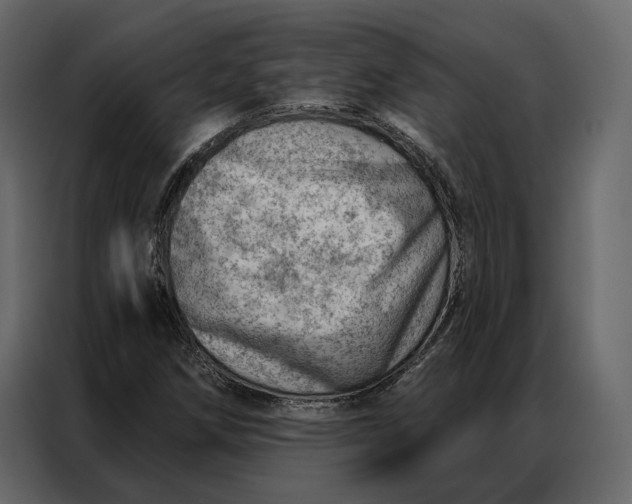 X0000086981258200705071410