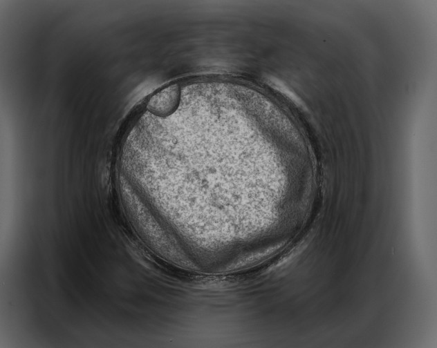 X0000086981259200705071410