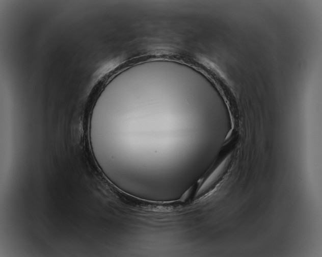 X0000086981261200705071410