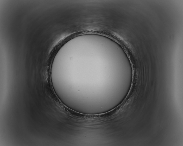 X0000086981262200705071409