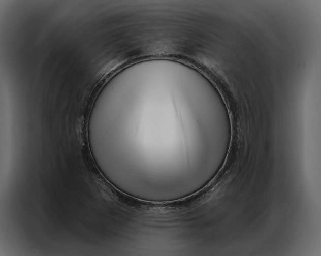 X0000086981265200705071409