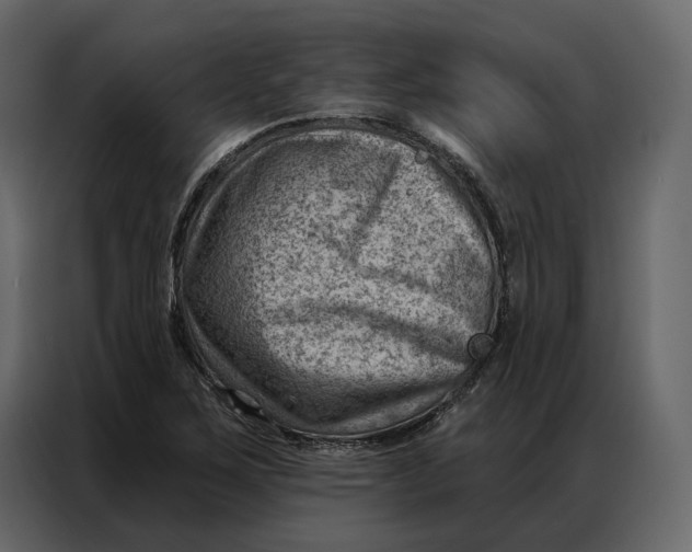 X0000086981267200705071409