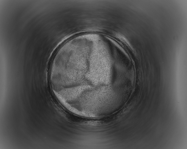 X0000086981268200705071409