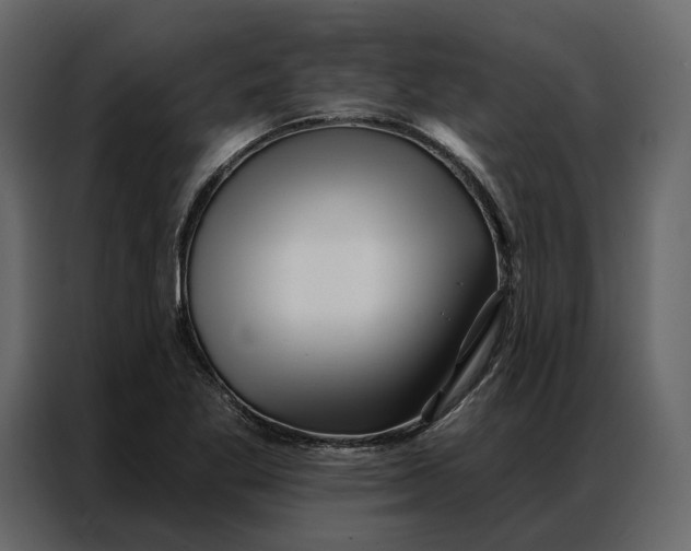 X0000086981269200705071409