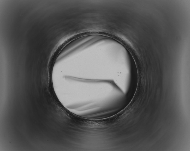 X0000086981270200705071409