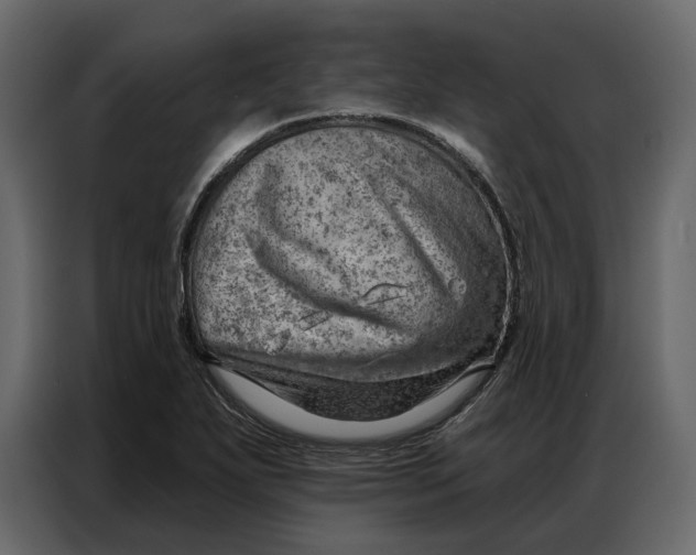 X0000086981271200705071409