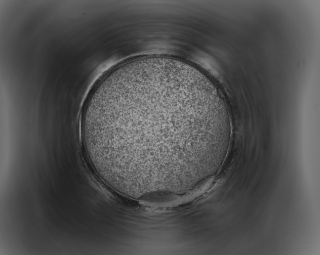 X0000086981275200705071409