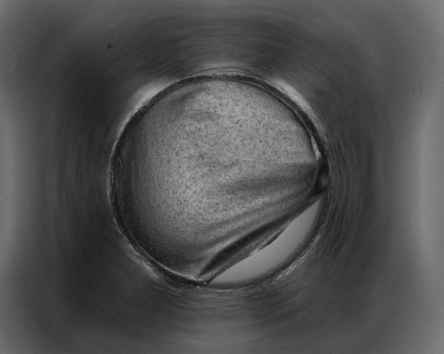 X0000086981277200705071409