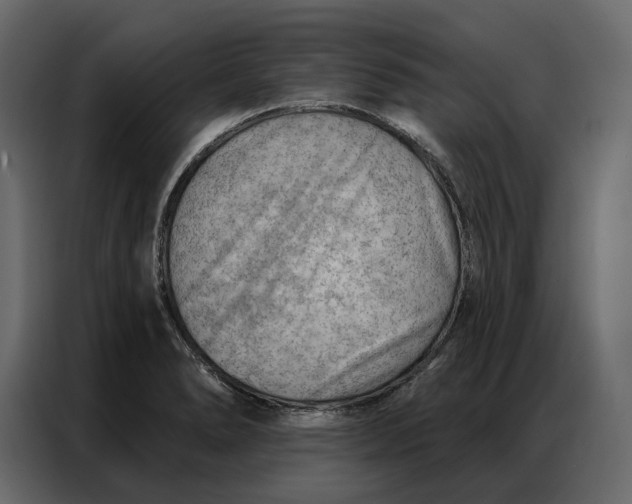 X0000086981278200705071409